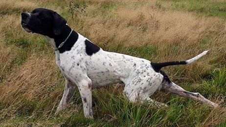 Une expression pointer !