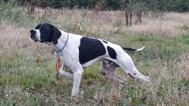 Les britanniques sont prêts également...