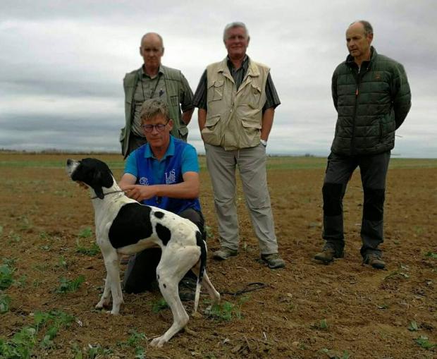 CORMEILLES BRITANNIQUES : CACIT pour Led Zep