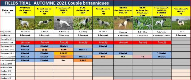 Tableau des britanniques en couple