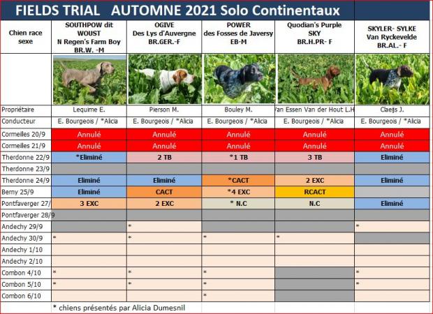 Tableau continentaux