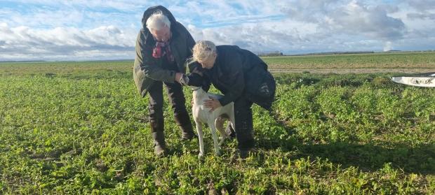 Résultats Grande Quête