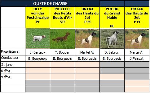 En quête de chasse...