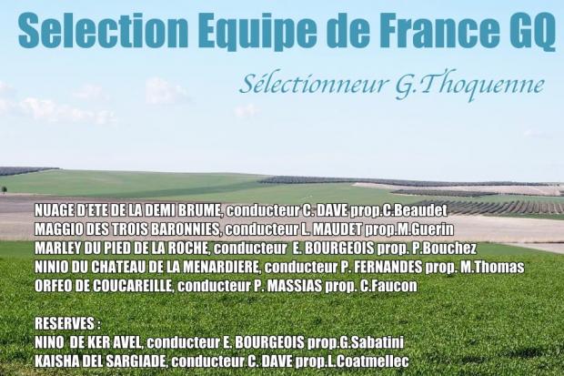 Selection Equipe France