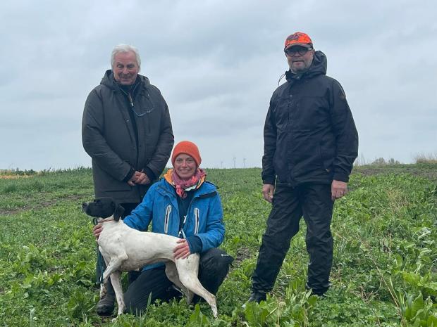 Field d'Arleux en QC