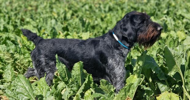 Clap de fin avec la session  d'août !