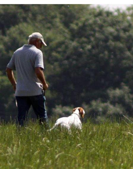 TAN Bretagne : 4 chiens sélectionnés dont Gaïac... 
