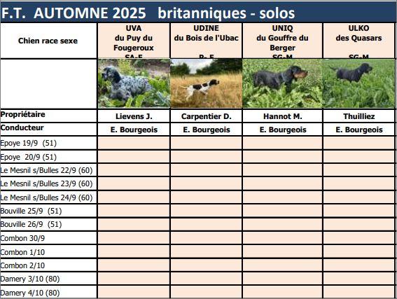 GT aussi pour les britanniques !
