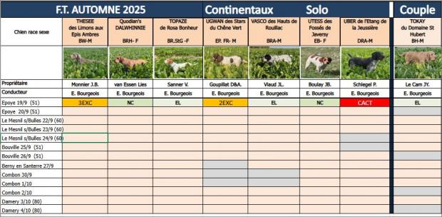 Tableau des résultats