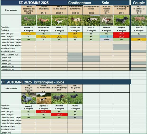 Mesnil sur Bulles, Tokay 1er ex