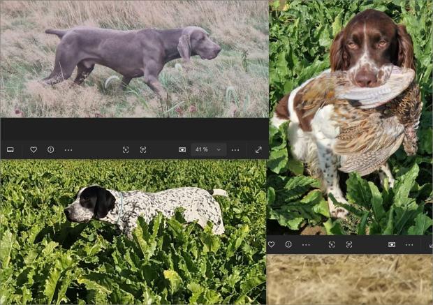 Mesnil J3 CAC Thesée