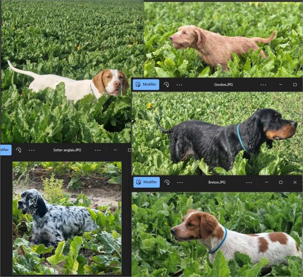 Bouville J1 : CAC pour Topaze et Uva