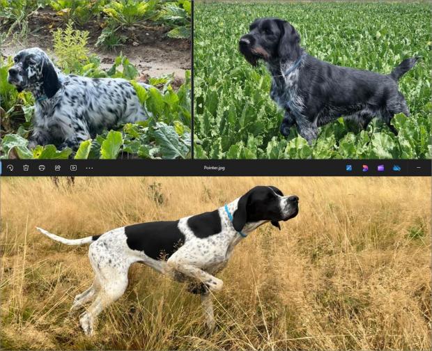 Bouville J2, CAC pour Uber, les anglais punis !