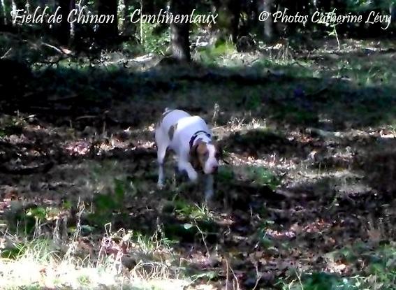 Le field de Chinon en images...