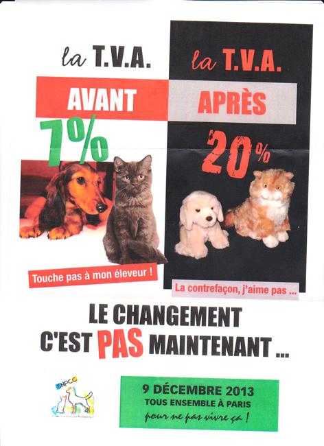 La cynophilie en danger...