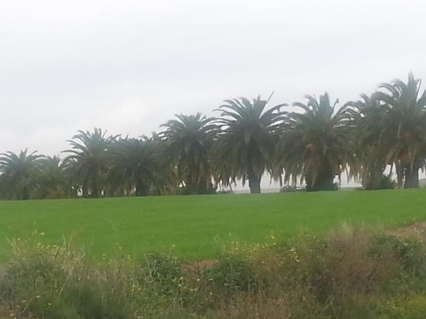 Pas mieux mais... le camion arrive !