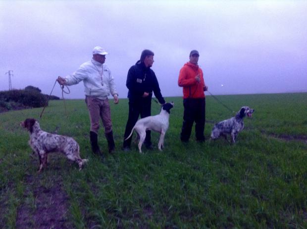 CACIT pour Démon...