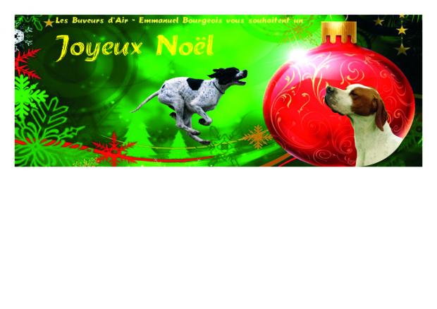 Joyeux Noël !