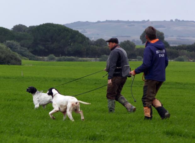 Retour images sur le printemps andalou...