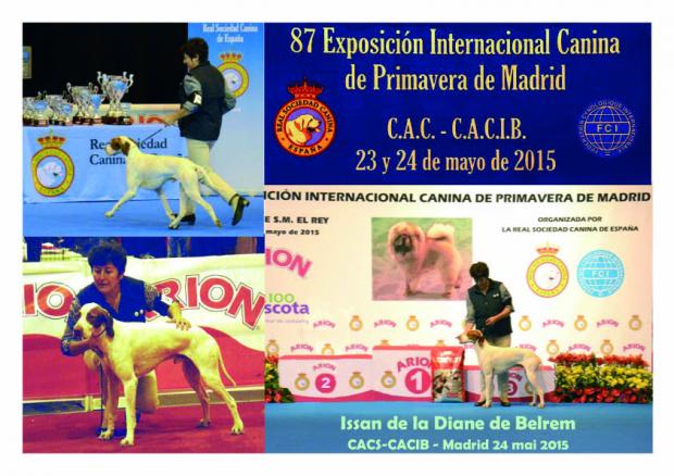 Issan attaque le championnat d'Espagne : CACS-CACIB à Madrid !