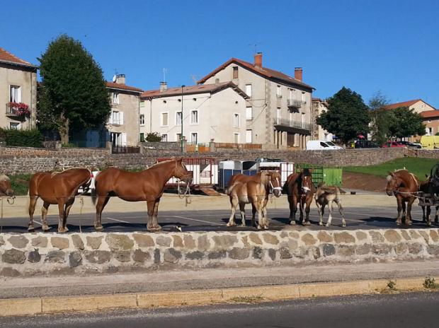 Le Puy, magnifique mais très dur !