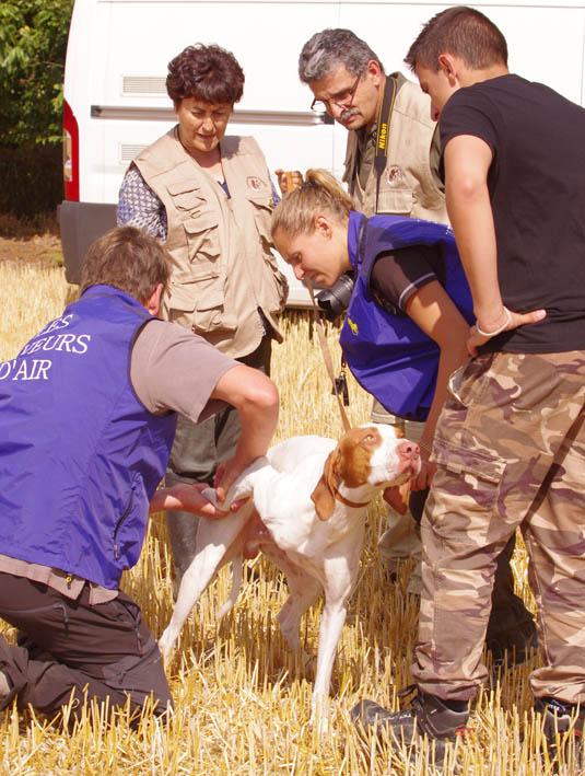 Ecole des buveurs d'Air, des stagiaires pas comme les autres...