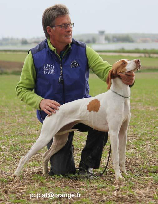 Field de Cormeilles : CACT pour Ièna qui devient championne, RCACT pour Hors Taxe