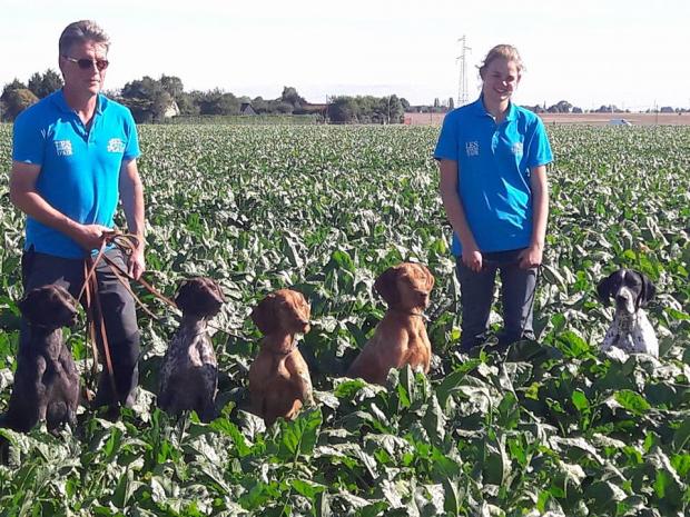 Beaumontel : Hoover CACT, Laffite, 1er Ex,....